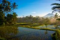 Agung