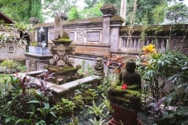 bali-murnis-houses-sawo-1-94