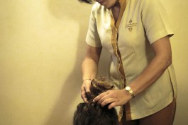 Tamarind Spa at Murni's Houses-11