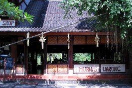 murnis-warung-level1-01