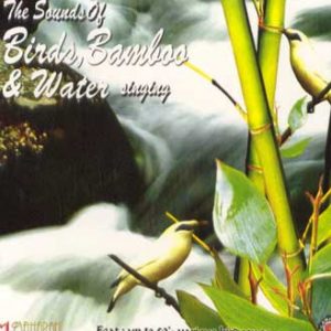 birds_bamboo_water