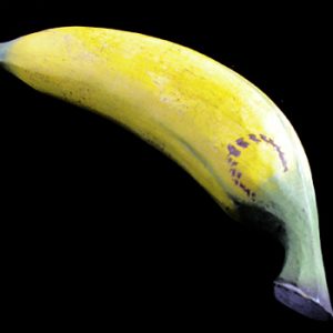 Wooden Fruit: Banana