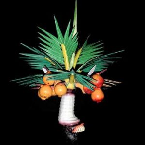 Coconut Tree