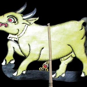 Cow
