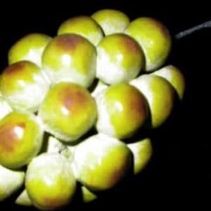 Wooden Fruit: Green Grapes