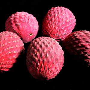Wooden Fruit: Lychee