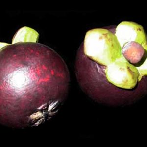 Wooden Fruit: Mangosteen, the Queen of Fruits