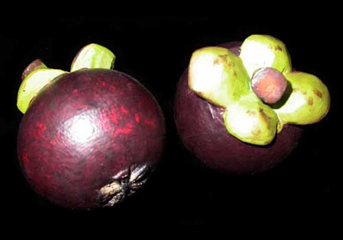 Wooden Fruit: Mangosteen, the Queen of Fruits Wooden Fruit: Mangosteen, the Queen of Fruits