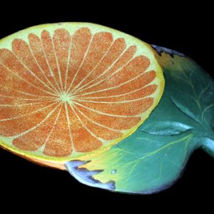 Wooden Plate: Orange Plate