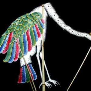 Ostrich