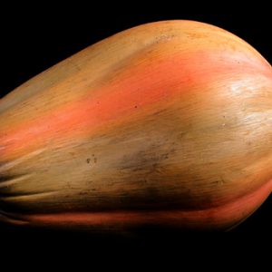 Wooden Fruit: Papaya 2