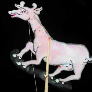 Pink Goat
