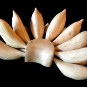Wooden Fruit: Plain Bananas