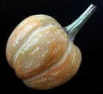 Wooden Fruit: Pumpkin