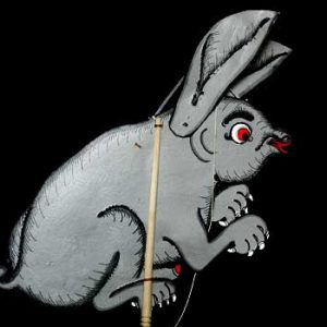 rabbit