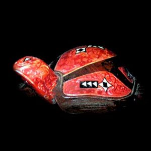 Small Red Turtle