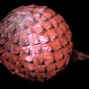 Wooden Fruit: Salak
