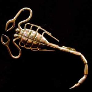 Scorpion