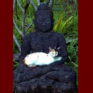 Sitting Buddha