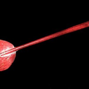 sumatran_rice_spoon1