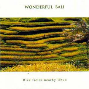 Rice Fields near Ubud