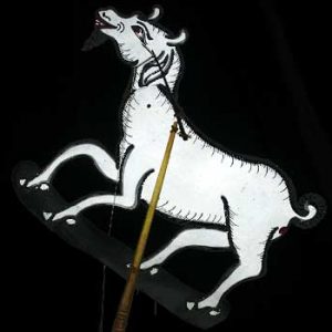 White Goat