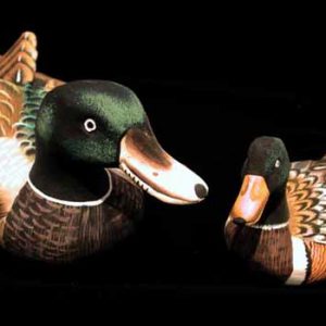 Wooden Ducks