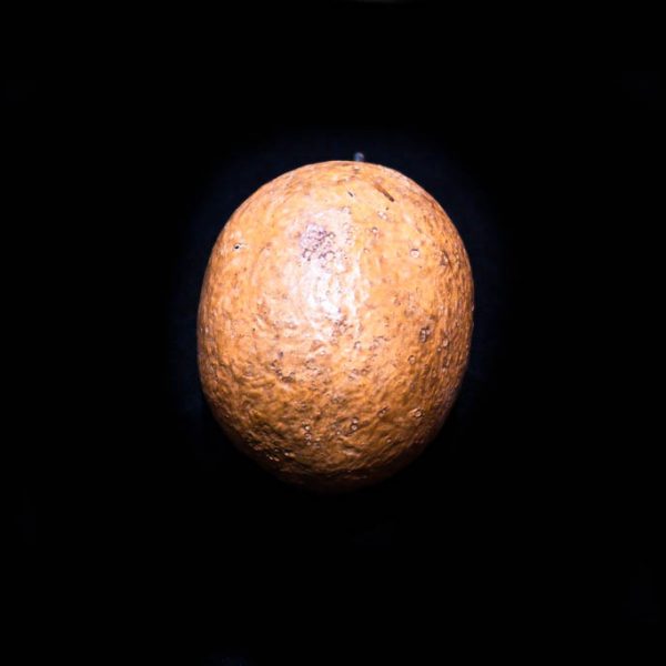 Wooden Fruit Sawo