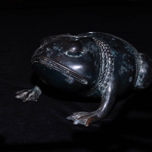 Frog 2