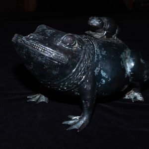 Frog 3