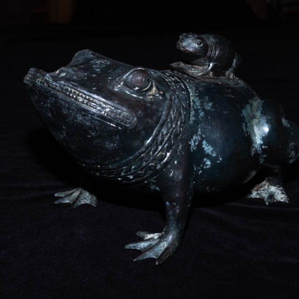 Frog 3