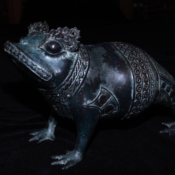Frog 4