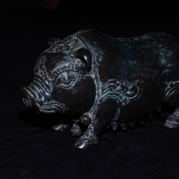 Pig 2
