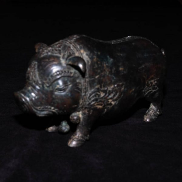 Pig 3