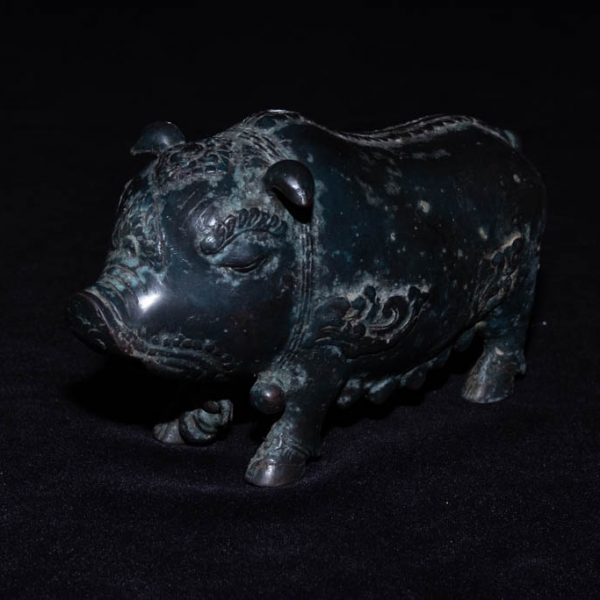 Pig 5