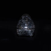 Antique Cambodian Lime Container 2 – Rabbit Antique Cambodian Lime Container 2 – Rabbit