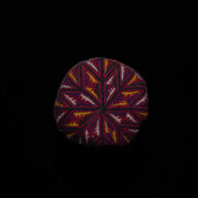 Antique Turkmen Man’s Skullcap 1