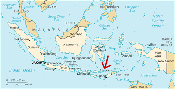 Map of Flores