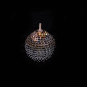 Antique Sumatran Durian Box 5