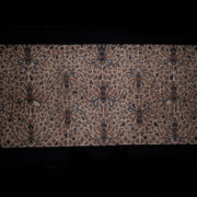 Antique Central Javanese Batik 6 Antique Central Javanese Batik 6